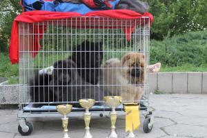 Прикачена снимка