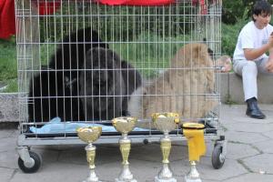 Прикачена снимка