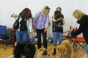 Прикачена снимка