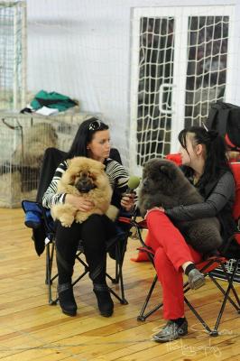 Прикачена снимка