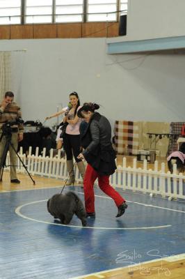 Прикачена снимка