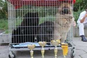 Прикачена снимка