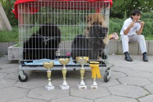 Прикачена снимка