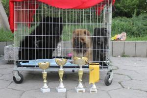 Прикачена снимка