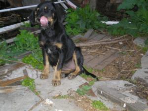 Прикачена снимка