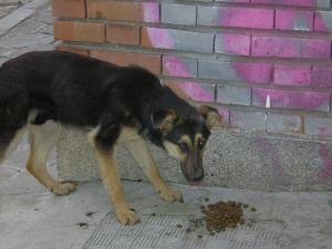 Прикачена снимка
