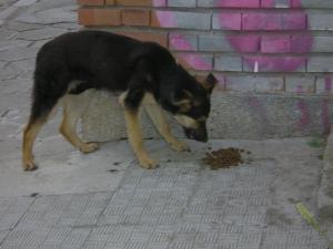 Прикачена снимка