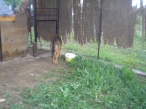 Прикачена снимка