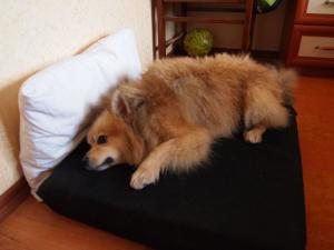 Прикачена снимка