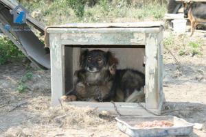Прикачена снимка