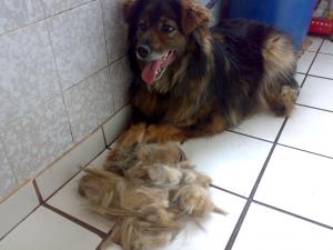 Прикачена снимка