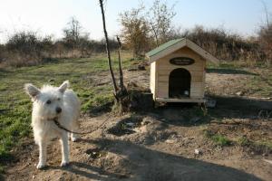 Прикачена снимка