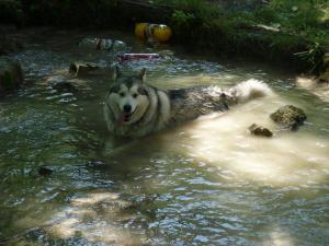 Прикачена снимка