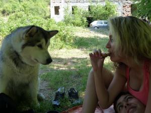 Прикачена снимка