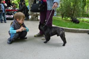 Прикачена снимка