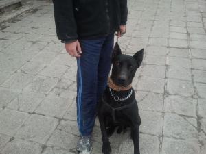 Прикачена снимка