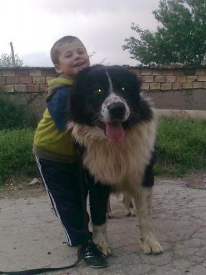 Прикачена снимка