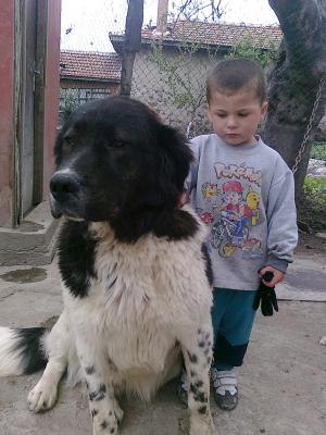 Прикачена снимка