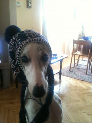 Прикачена снимка