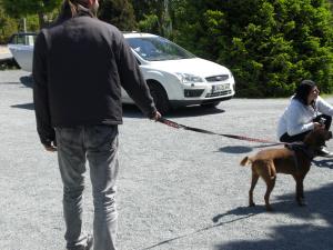 Прикачена снимка