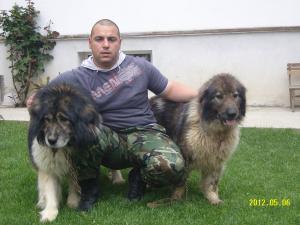 Прикачена снимка