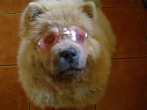Прикачена снимка