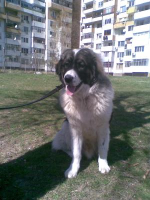 Прикачена снимка