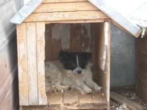 Прикачена снимка