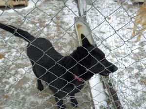 Прикачена снимка