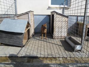 Прикачена снимка