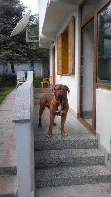 Прикачена снимка