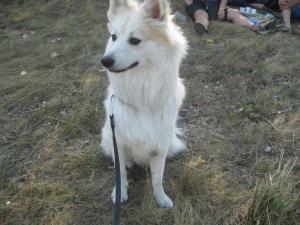 Прикачена снимка