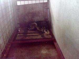 Прикачена снимка