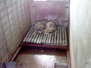 Прикачена снимка