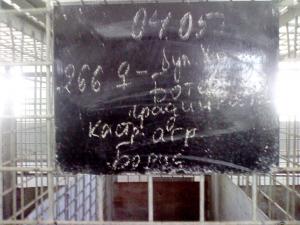 Прикачена снимка