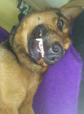 Прикачена снимка