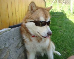 Прикачена снимка