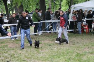 Прикачена снимка