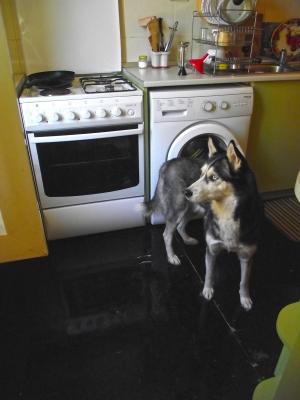 Прикачена снимка