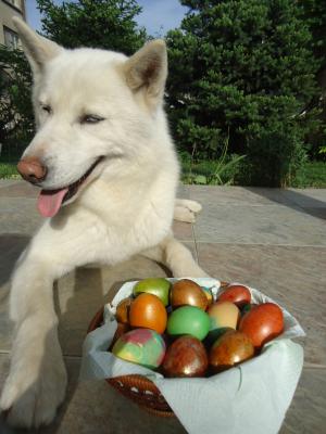 Прикачена снимка