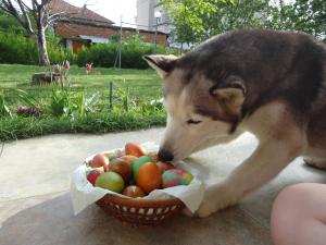 Прикачена снимка