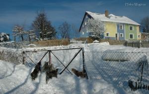 Прикачена снимка