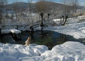 Прикачена снимка