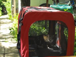 Прикачена снимка