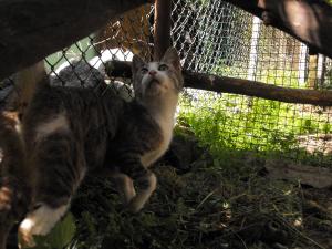 Прикачена снимка