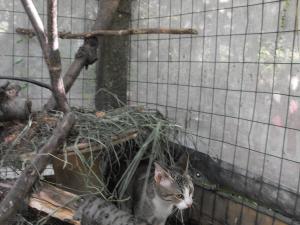 Прикачена снимка