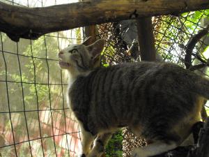 Прикачена снимка