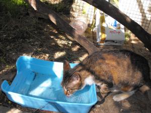 Прикачена снимка