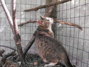 Прикачена снимка