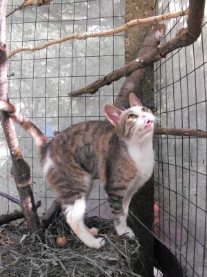 Прикачена снимка